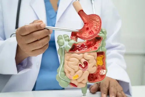 Role of gut microbiota in disease management: summarising Ayurvedic principles